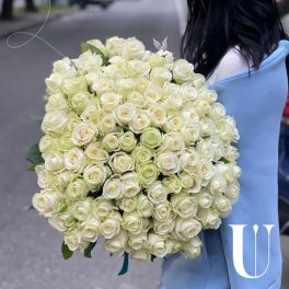 Bukiet „101 biała róża”